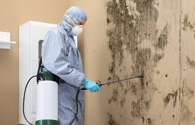 Asbestos and Lead Testing During Mold Inspection in Sherrelwood, CO